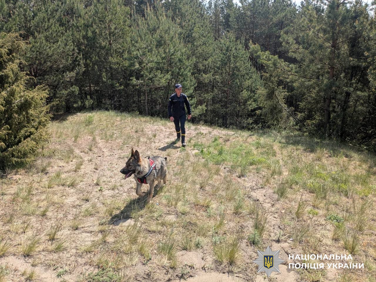 Фото до матеріалу: Дрони летять на Львівщину: оприлюднено мапу повітряних тривог