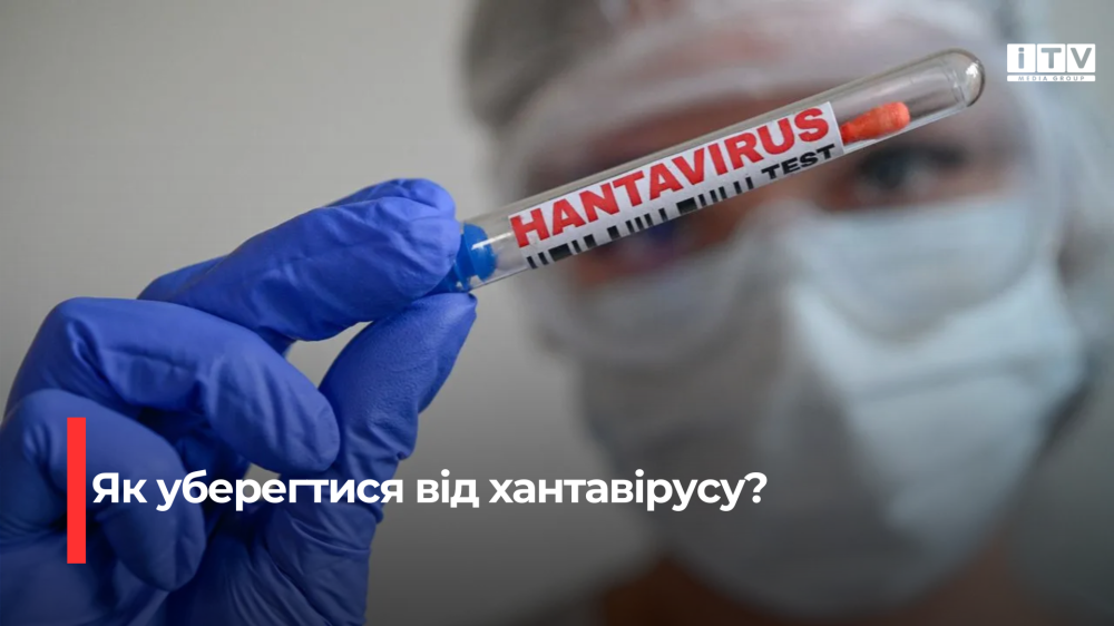 Фото до матеріалу: Хантавірус: як захистити себе та дізнатися, чи небезпечний ваш контакт з природою