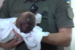 Фото до матеріалу: Водіїв готують до нових витрат: після цін на бензин українцям доведеться платити ще й за проїзд дорогами