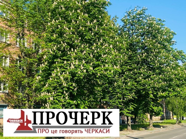 Фото до матеріалу: На Черкащині оголошено попередження про небезпечні метеорологічні явища