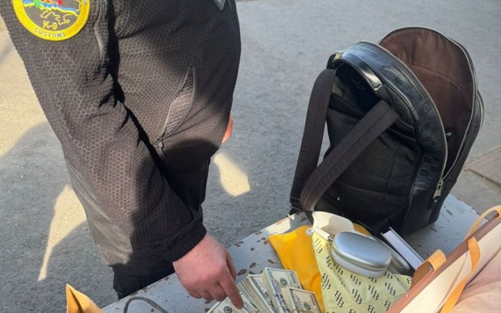 Фото до матеріалу: Службовий пес митників виявив 4 млн грн готівки в багажі жінки на кордоні з Словаччиною