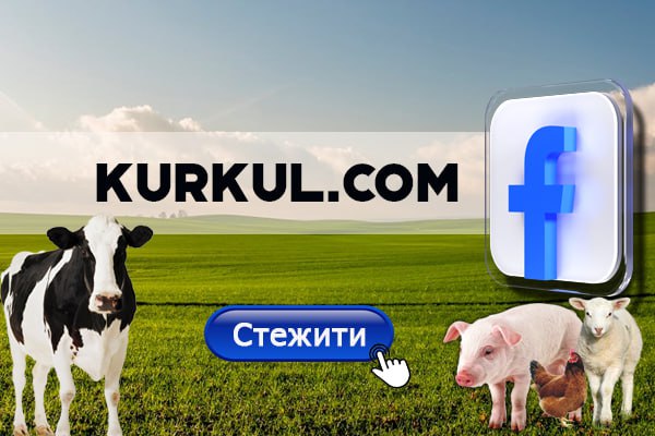 Фото до матеріалу: Внутрішній ринок сої став вигіднішим за експорт: ціни для виробників зросли
