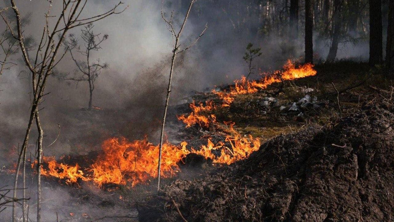 Фото до матеріалу: Пожежа в Чорнобильській зоні відчуження: рівень радіації в Україні в нормі