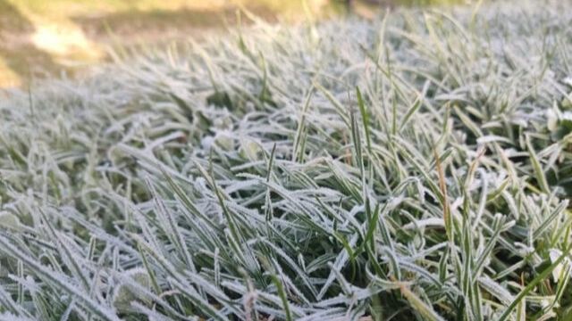 Фото до матеріалу: У Шахтарському затримали трьох чоловіків за побиття, викрадення та обстріл магазину