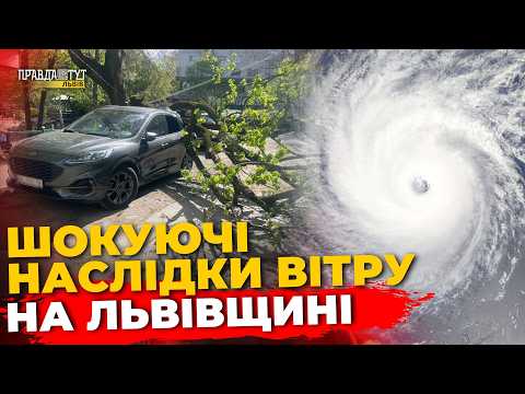 Фото до матеріалу: Шторм на Львівщині: 180 населених пунктів залишили без світла