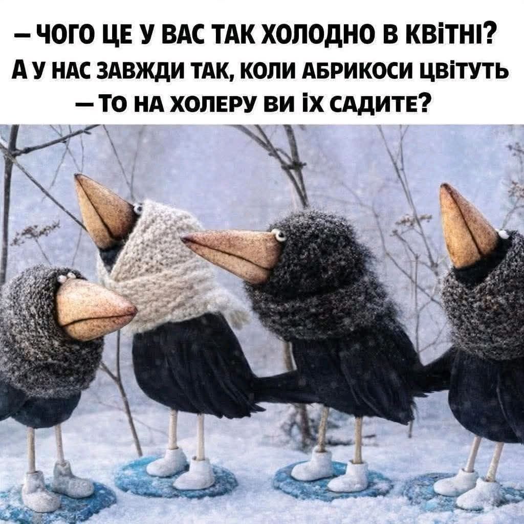 Фото до матеріалу: Підбірка блогожаб та фотоприколів від UAINFO за 9 квітня