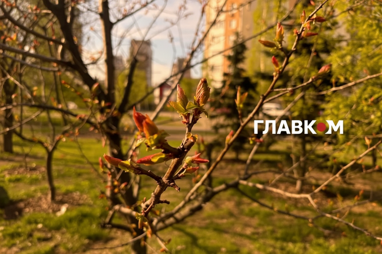 Фото до матеріалу: Погода в Україні 3 травня: до +21°C та грози