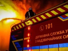 Фото до матеріалу: Рятувальники Львівщини ліквідували 85 пожеж в екосистемах