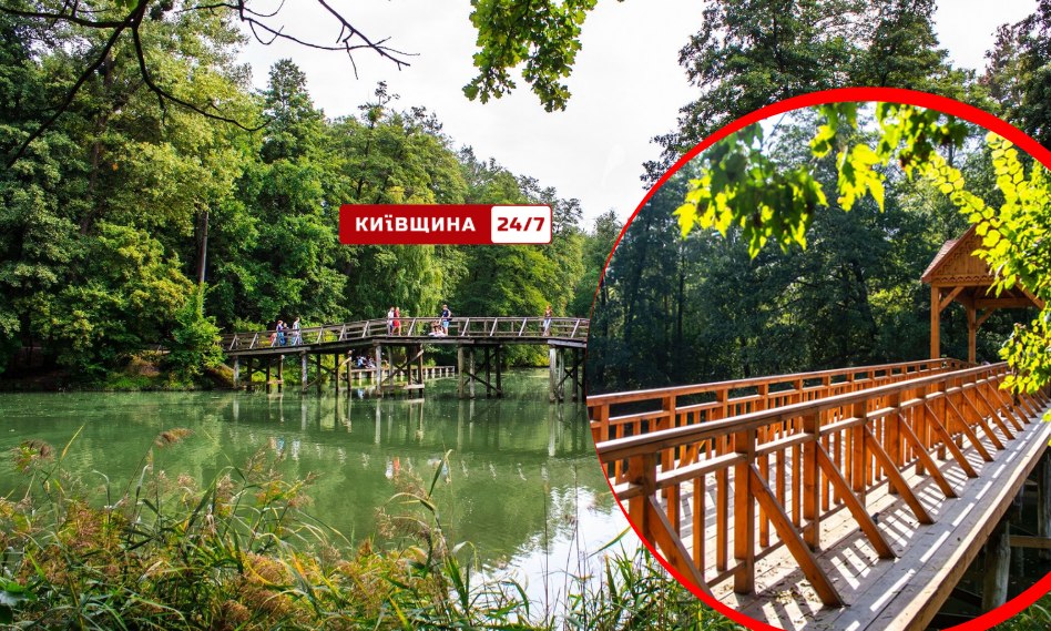 Фото до матеріалу: Пуща-Водиця вимагає термінового порятунку: активісти висунули ультиматум владі