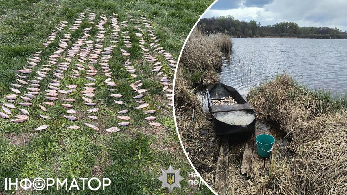Фото до матеріалу: У Згурівці на Броварщині спіймали браконьєра: шкода на півмільйона гривень