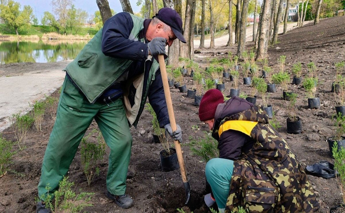 Фото до матеріалу: У Києві висадили понад 600 дерев у межах акції «1 мільйон дерев життя»