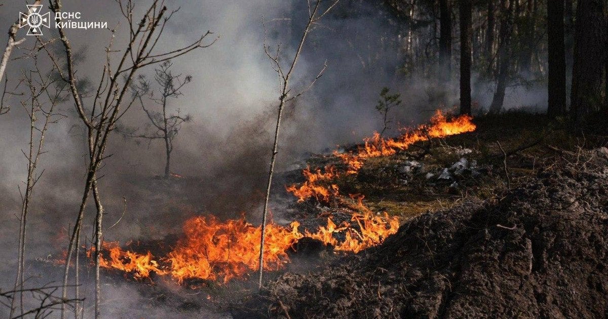 Фото до матеріалу: У Чорнобильській зоні триває масштабна пожежа: понад 1100 гектарів охопили вогні