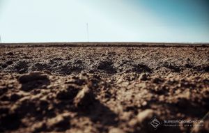 Фото до матеріалу: У Чорнобильській зоні виявили схему незаконного використання 190 гектарів землі