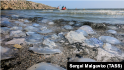 Фото до матеріалу: Екологічна катастрофа в Чорному та Азовському морях: зникають риба та дельфіни