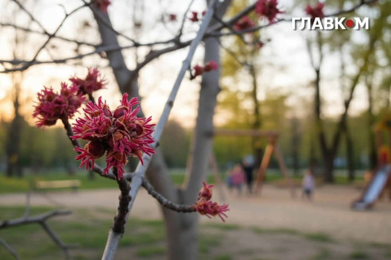 Фото до матеріалу: У Києві очікують заморозки до 3° та штормовий вітер 28 квітня