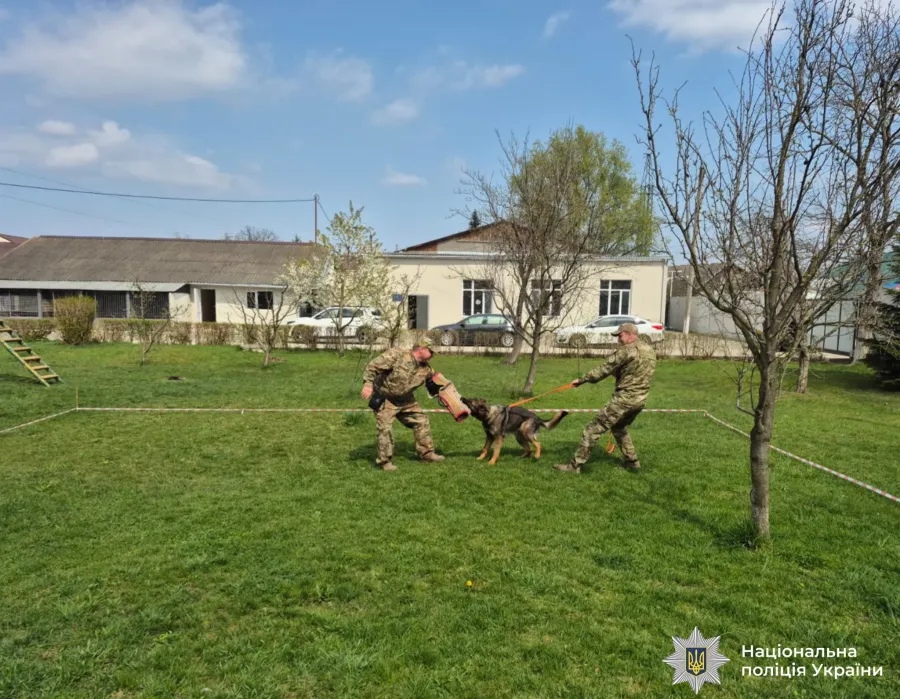 Фото до матеріалу: У Калуші школярі відвідали кінологічний центр поліції і побачили роботу службових собак
