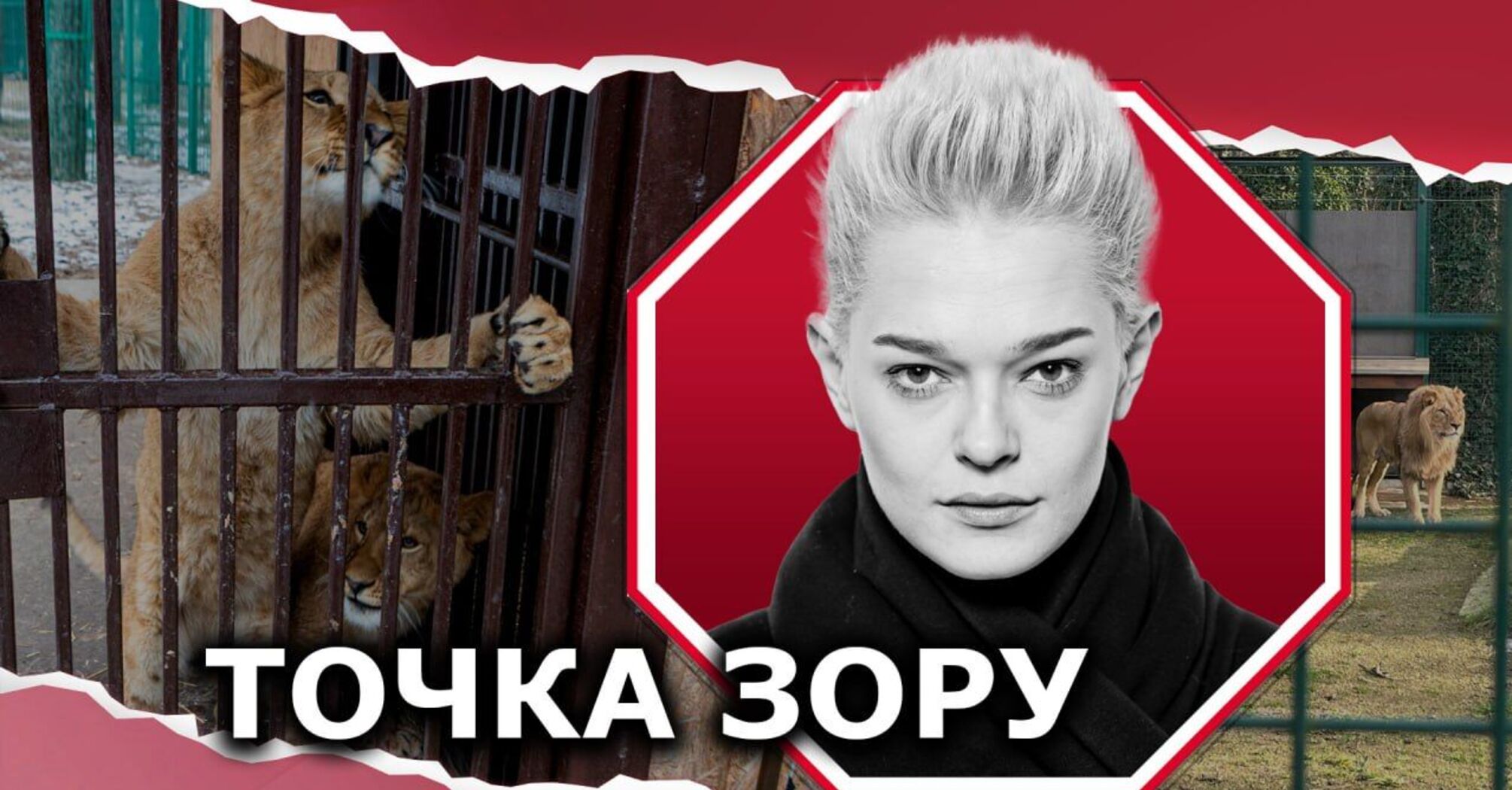 Фото до матеріалу: "Піратство" на мільйони доларів: сучасні браконьєри та їхні функції