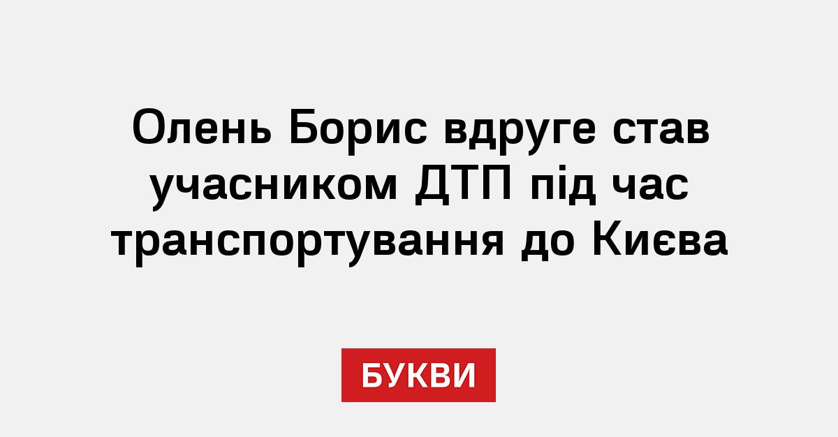 Фото до матеріалу: Олень Борис вдруге став учасником ДТП під час транспортування до Києва
