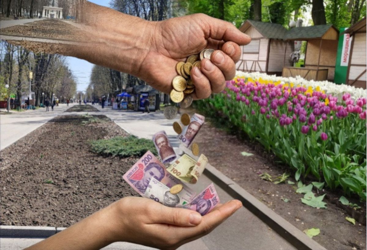 Фото до матеріалу: Чому у Вінниці клумби заростають листям, а в Луцьку та Ковелі — квітами: пояснення міської влади
