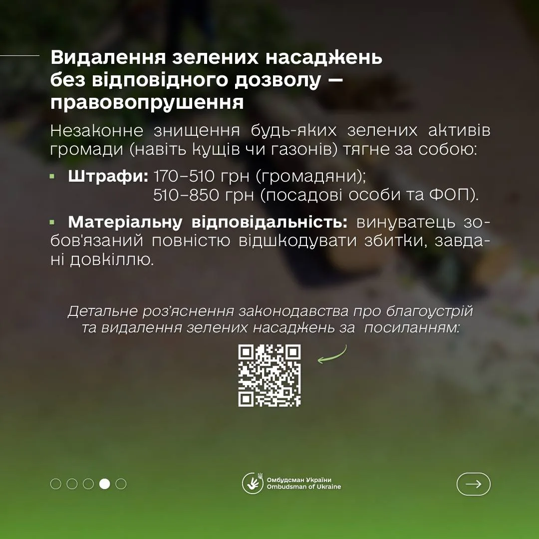 Фото до матеріалу: Дмитро Лубінець уточнив правила видалення дерев та розмір штрафів за їх незаконне вирубування
