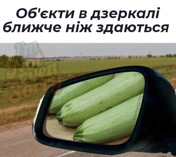 Фото до матеріалу: Блогожаби: від підтримки легалізації зброї до категоричного «проти»
