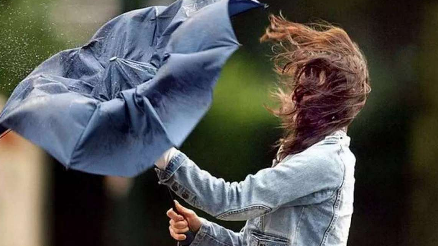 Фото до матеріалу: На Вінниччині — жовтий рівень небезпеки через сильні пориви вітру: що робити жителю