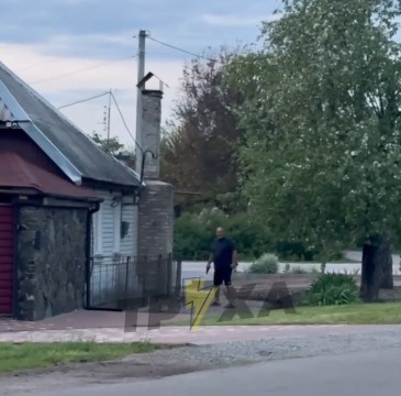 Фото до матеріалу: Спалах хантавірусу на круїзному лайнері: що варто знати про патоген і глобальну загрозу