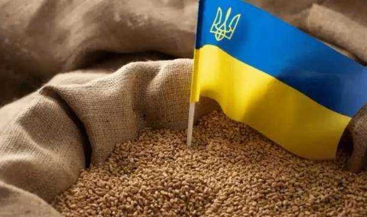 Фото до матеріалу: Експорт українського зерна скоротився майже на 20%