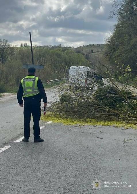 Фото до матеріалу: Сильний вітер у Львівській області: госпіталізували водія вантажівки