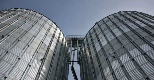 Фото до матеріалу: Агропродсервіс подав позов до Волиця-Агро на 34 млн грн за зниклу кукурудзу