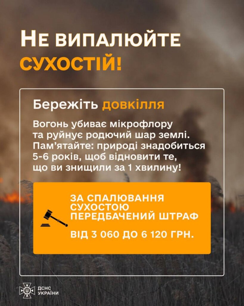 Фото до матеріалу: Житомирщина очоли антирейтинг пожеж в Україні
