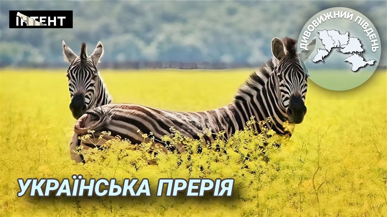 Фото до матеріалу: Асканія-Нова: чуда степу під загрозою окупації