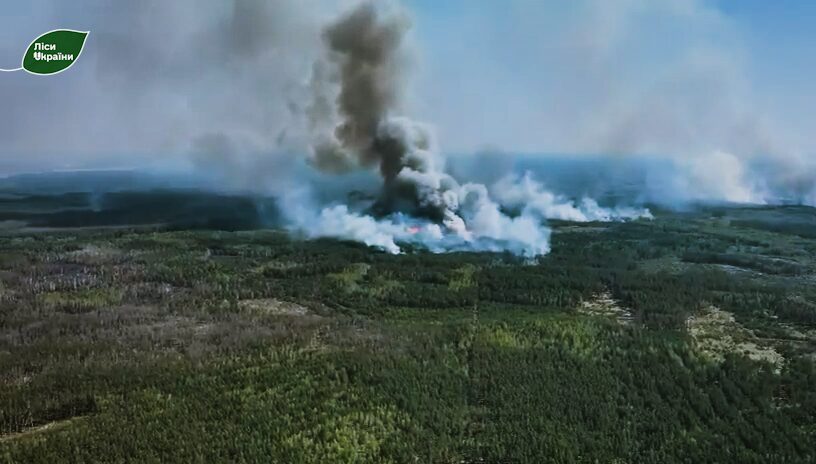 Фото до матеріалу: П'ятикілометрова смуга лісу на Чернігівщині горить після обстрілів