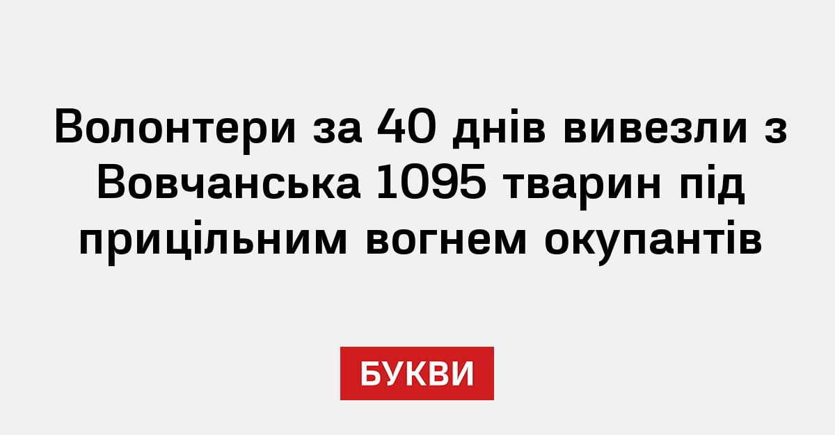 Фото до матеріалу: Волонтери врятували 1095 тварин із Вовчанська за 40 днів під обстрілами