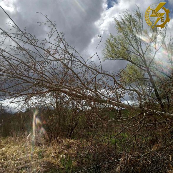 Фото до матеріалу: Сильний вітер залишив без світла понад 60 тисяч абонентів у Вінниці: енергетики відновлюють постачання