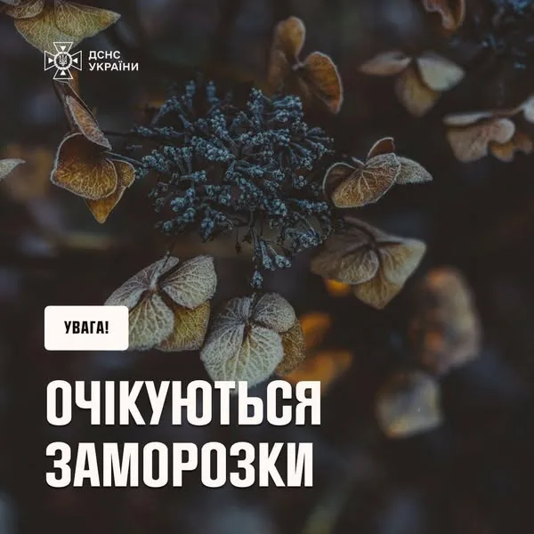 Фото до матеріалу: Штормовий вітер та заморозки очікуються в Україні - Голос українською - Україна