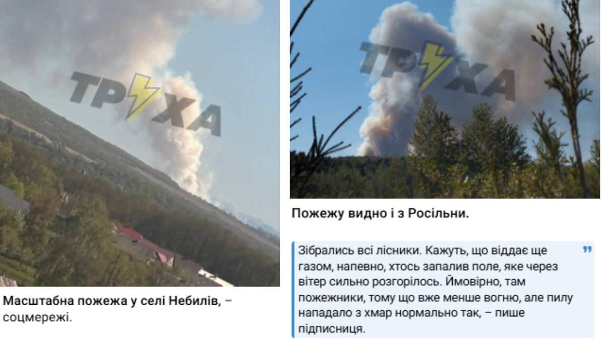 Фото до матеріалу: У Небиліві локалізували велику пожежу лісової підстилки