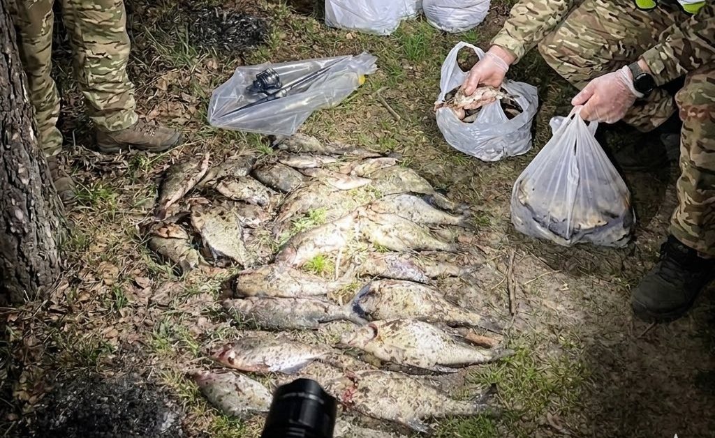 Фото до матеріалу: Браконьєр на Черкащині наловив 18 лящів на майже 30 тисяч гривень